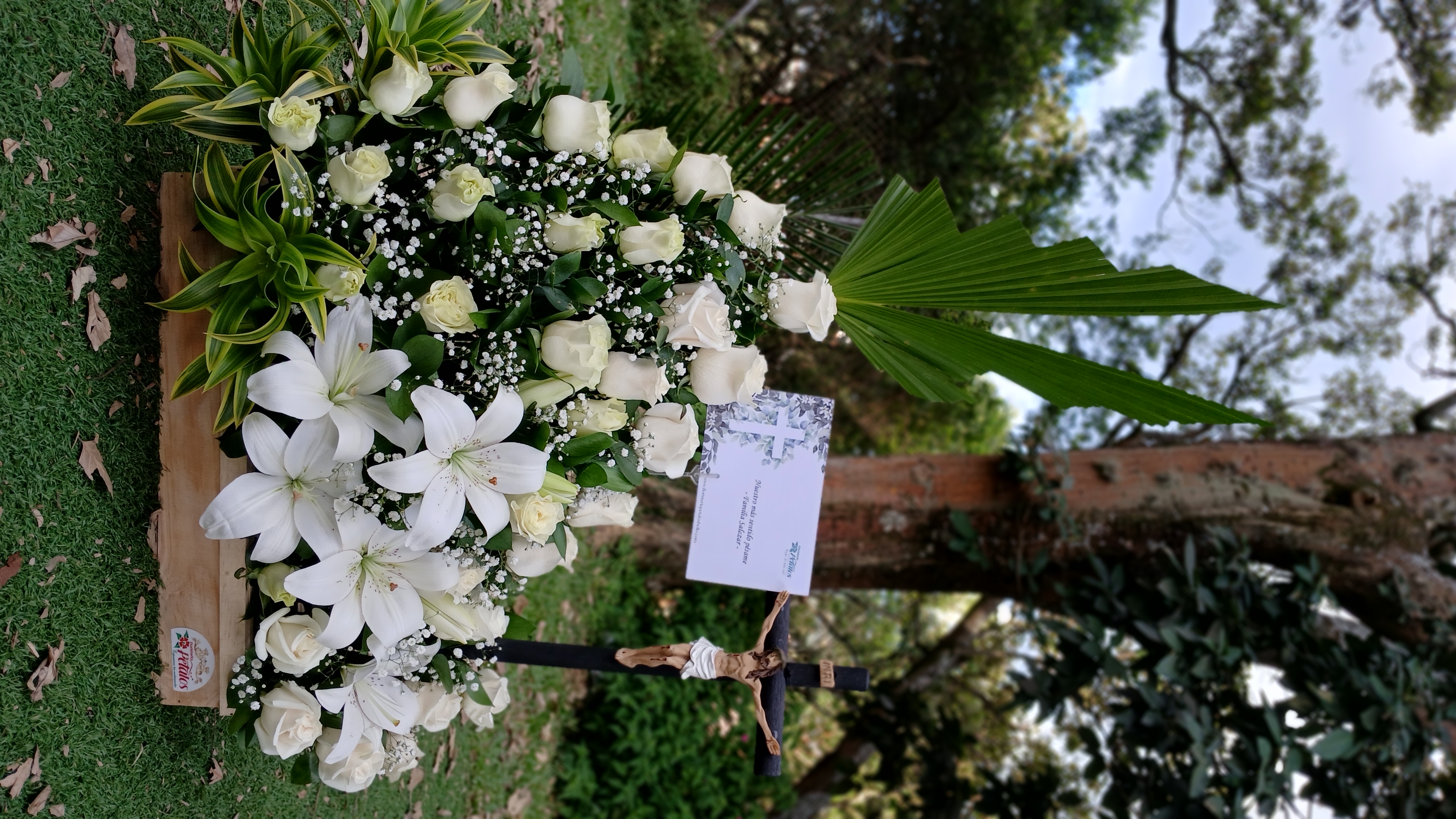 flores-floristeria-medellin-rf-01-no-me-atrevo-a-decir-que-entiendo-su-dolor-pero-me-gustaria-estar-cerca-de-ustedes-para-ofrecerles-todo-mi-apoyo-mi-consuelo-flores-floristeria-medellin