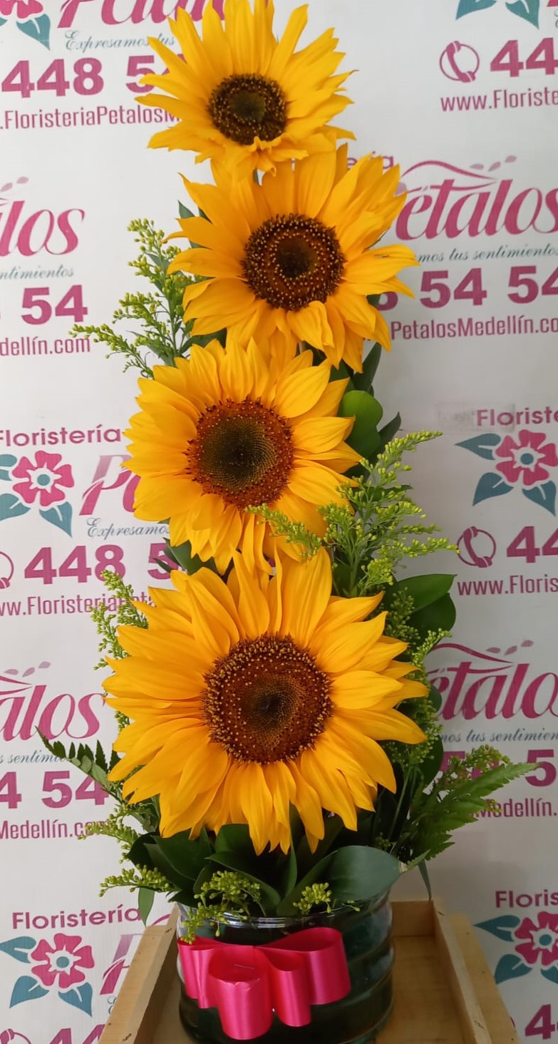 a008
